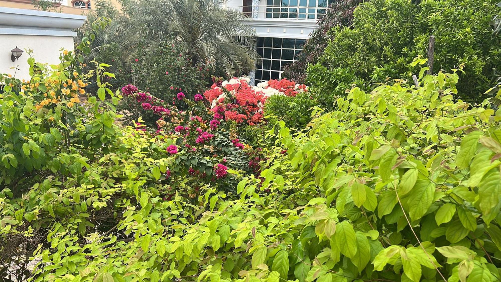 Alhosani Property Abu Dabi Exterior foto