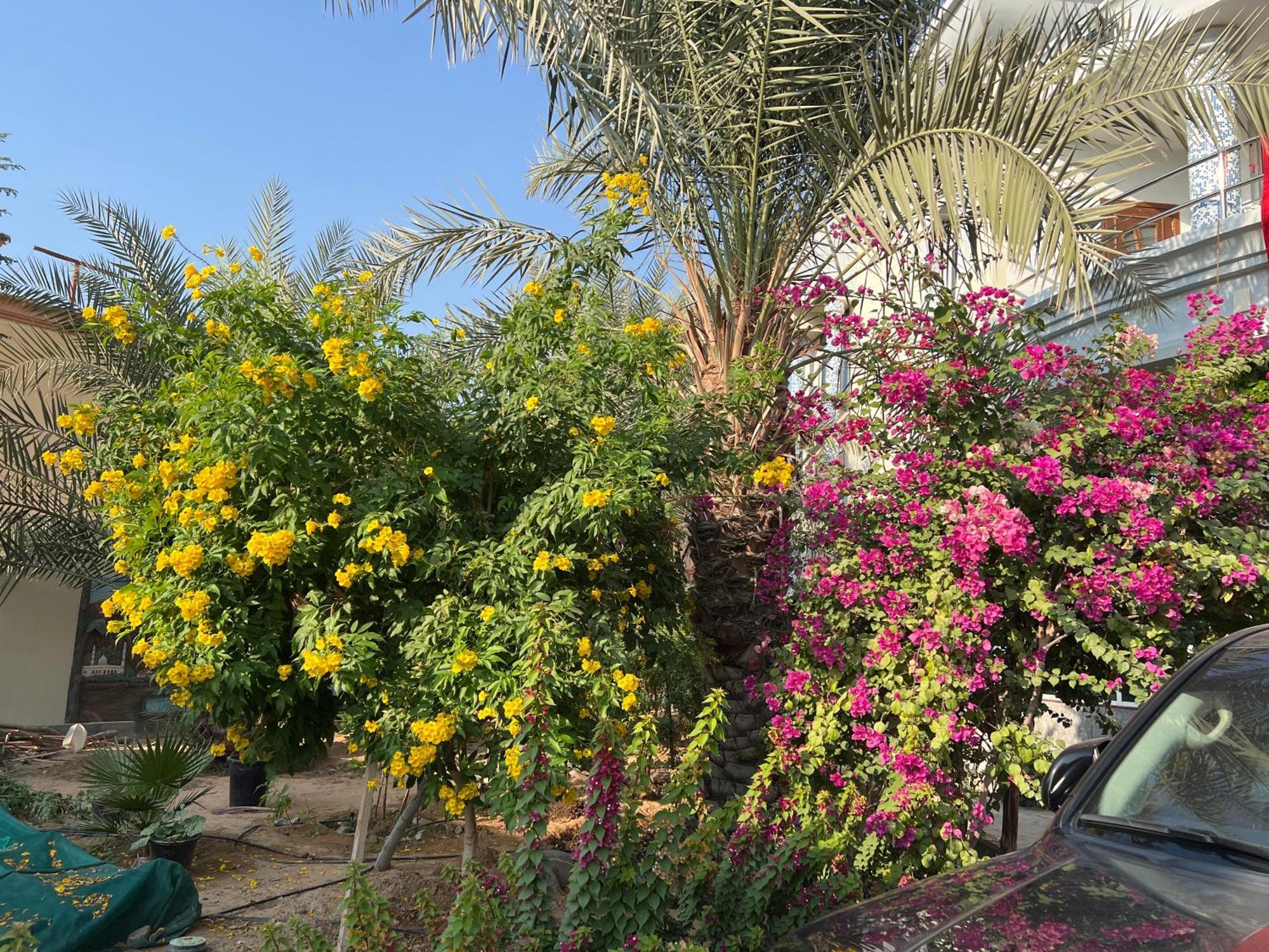 Alhosani Property Abu Dabi Exterior foto